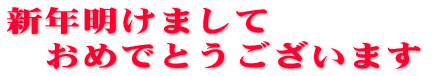 新年明けまして おめでとうございます
